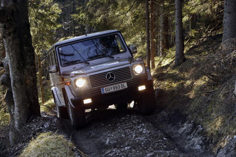  Mercedes-Benz G-Class 1990 года  (фото 176 из 260)